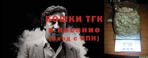 эйфоретик Ельня