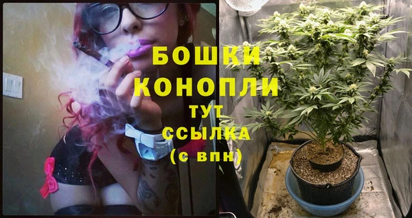 сатива Елабуга