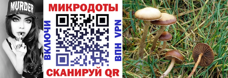 наркотики  Одинцово  Галлюциногенные грибы Cubensis 