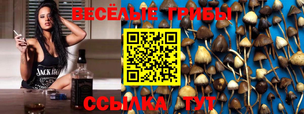 продажа наркотиков  Псилоцибиновые грибы GOLDEN TEACHER  Вход с VPN  Одинцово 